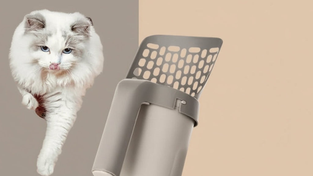 Kit de pala para arena – Mascota