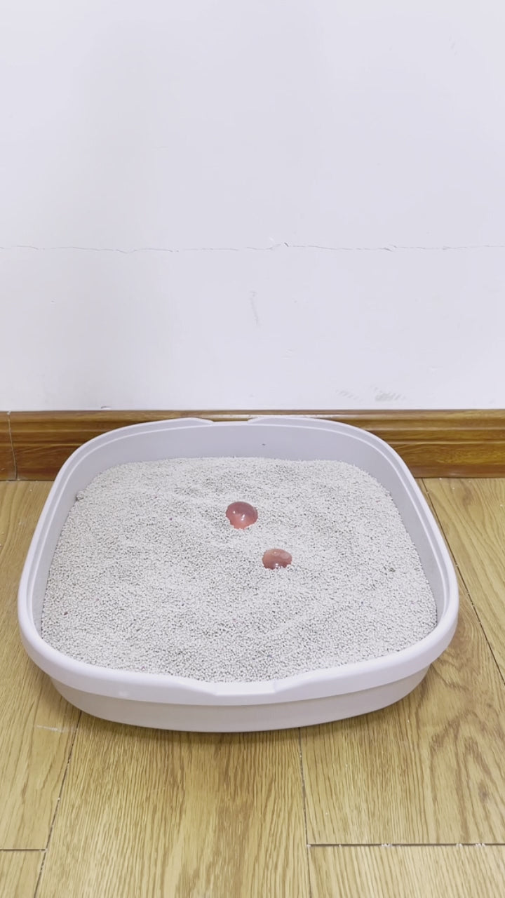 Kit de pala para arena – Mascota